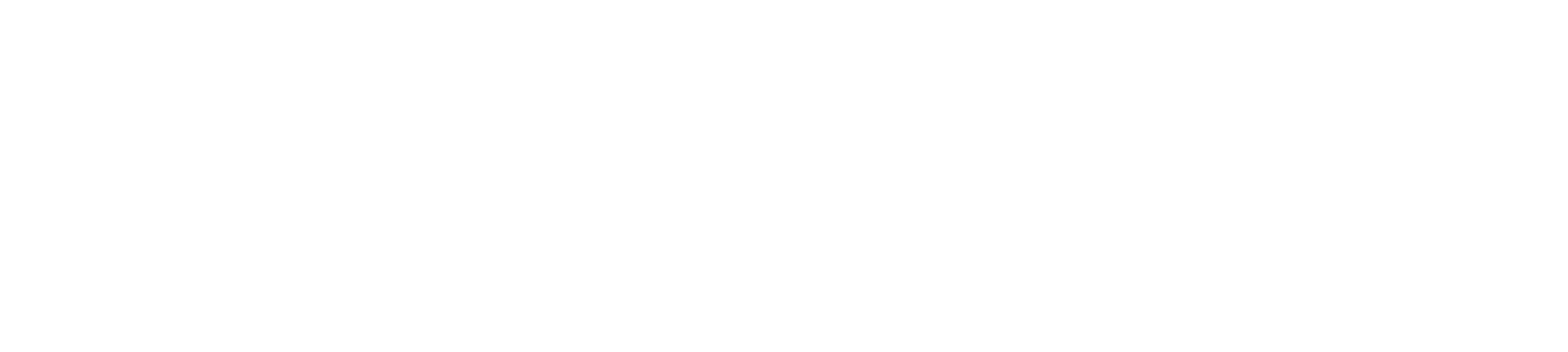 Loopback Pro